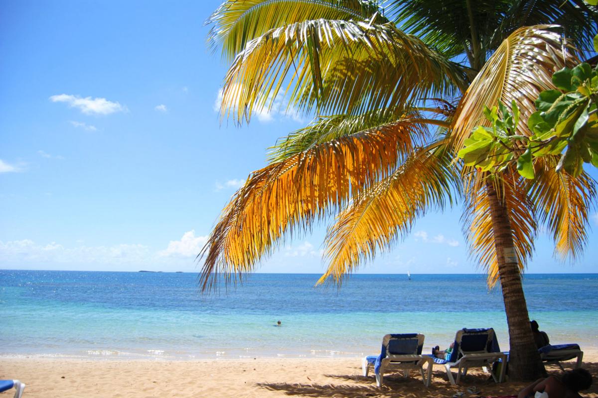 Playa Ballenas - Las Terrenas - République Dominicaine