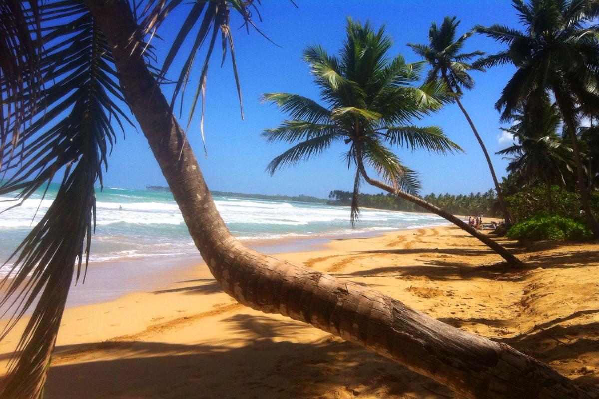 Playa Punta Popy - Las Terrenas - République Dominicaine