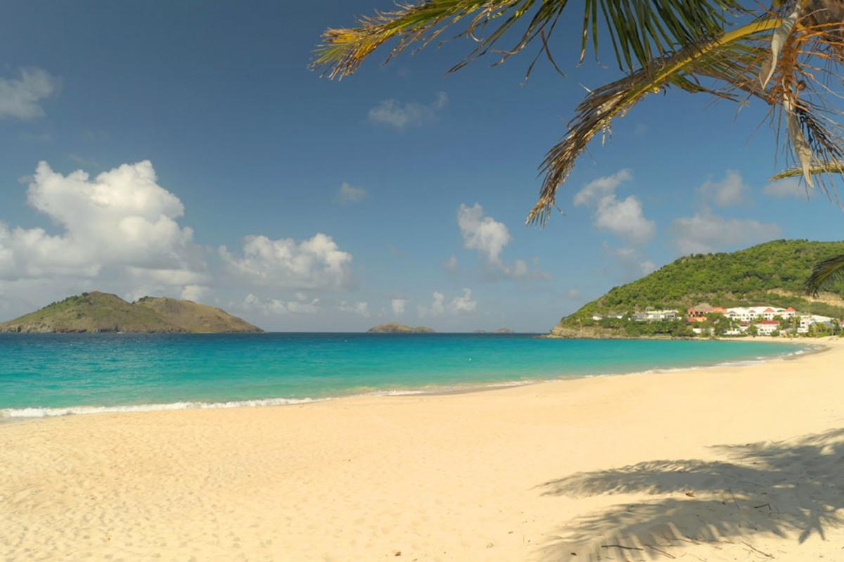 Flamands à Saint Barthélémy