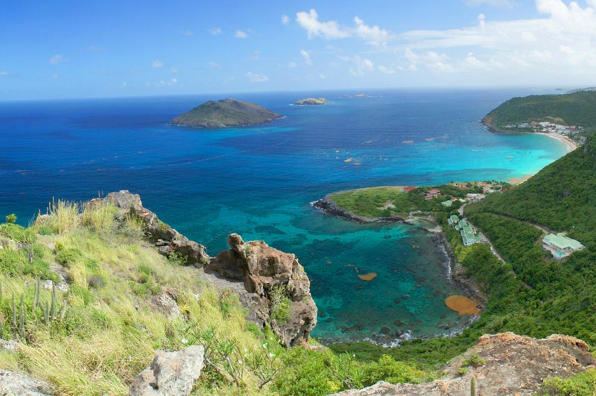 Flamands à Saint Barthélémy