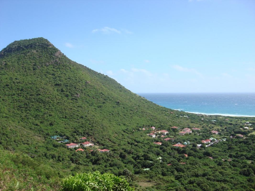 Vitet à Saint Barthélémy