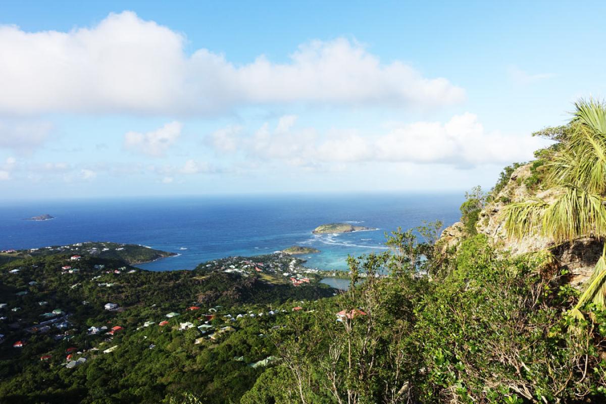 Vitet à Saint Barthélémy