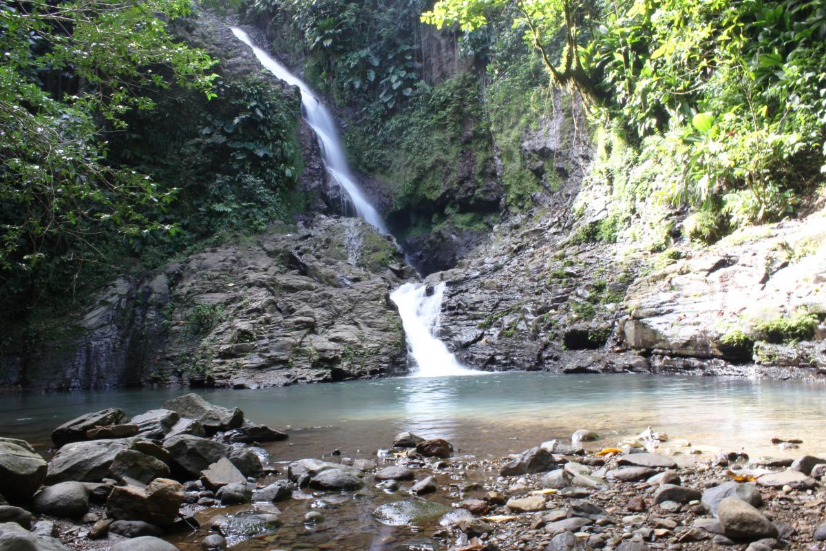 Saut du Bras du Fort 