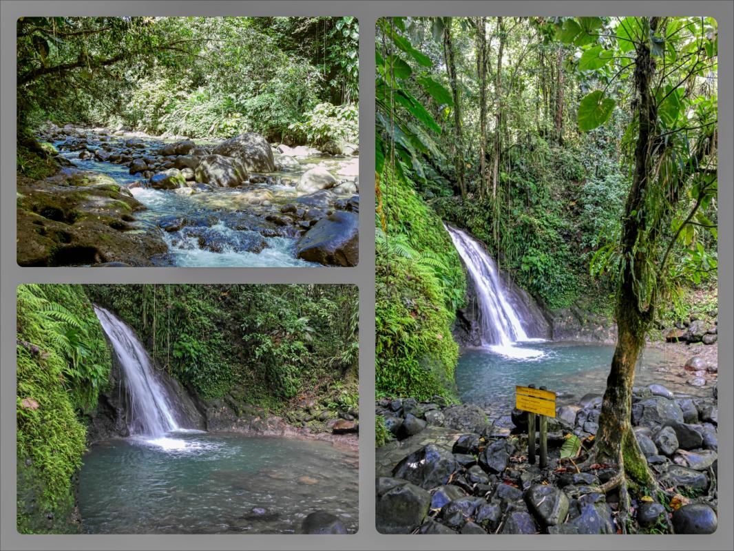 location villa à Petit bourg guadeloupe