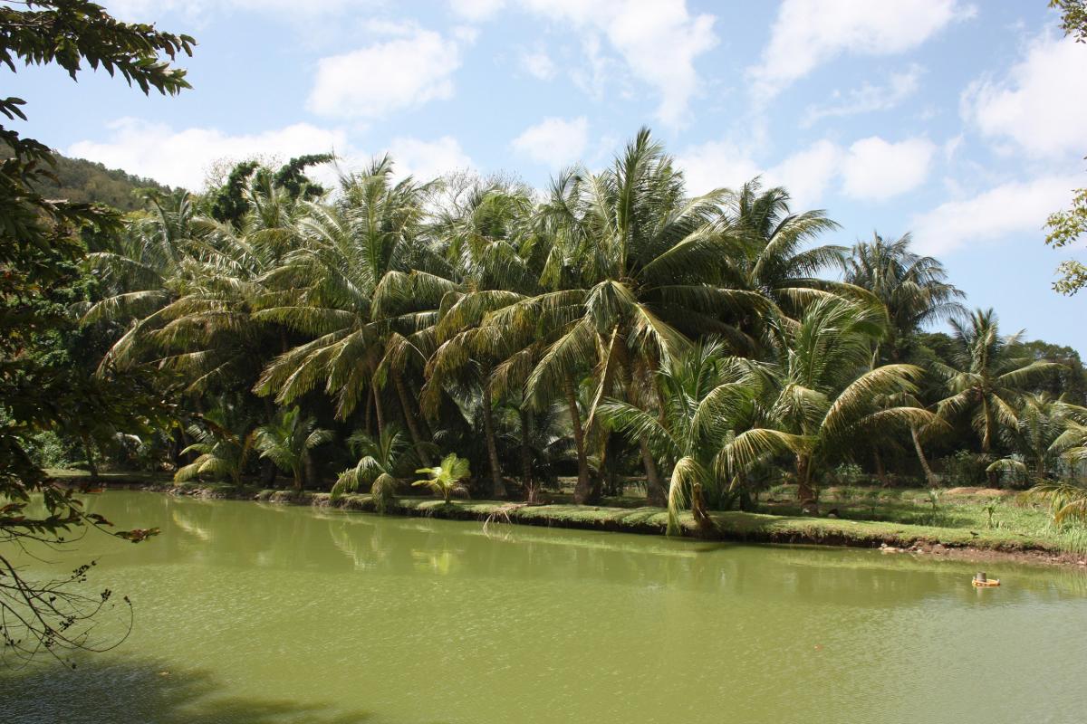 Parc aquacole de Pointe Noire