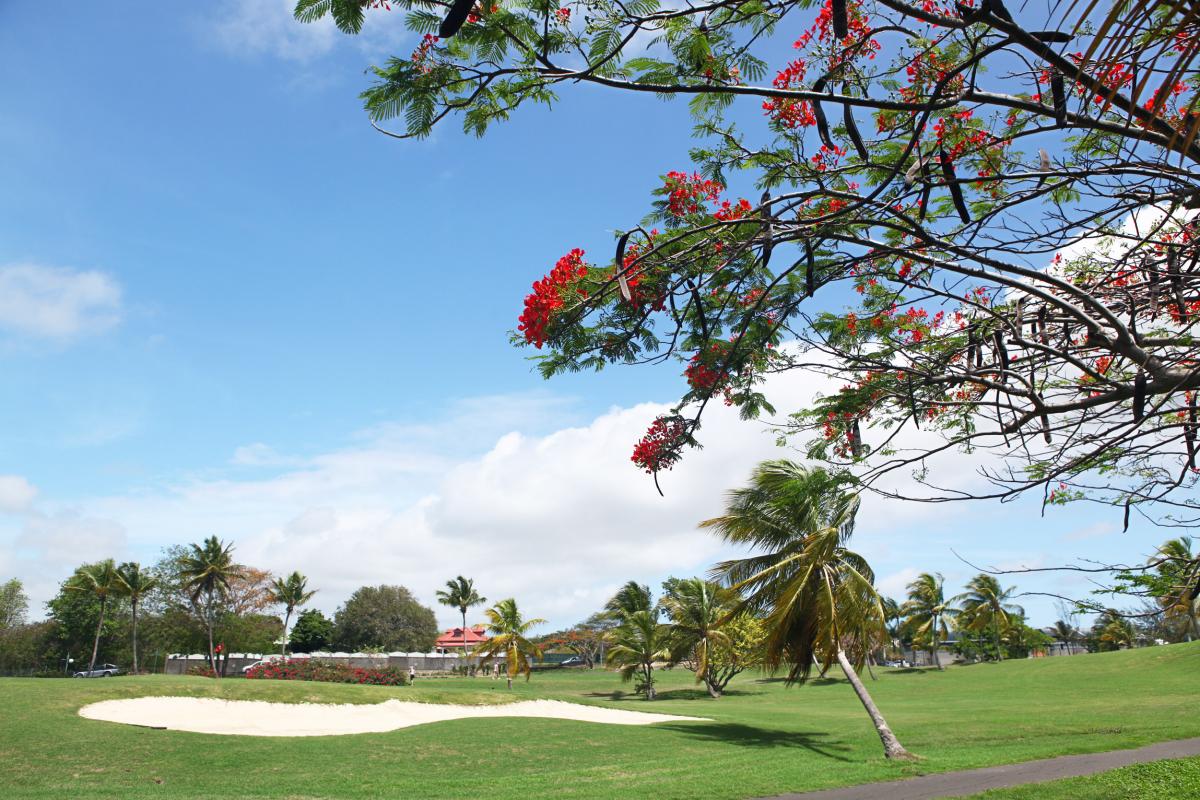 Golf de Saint-François