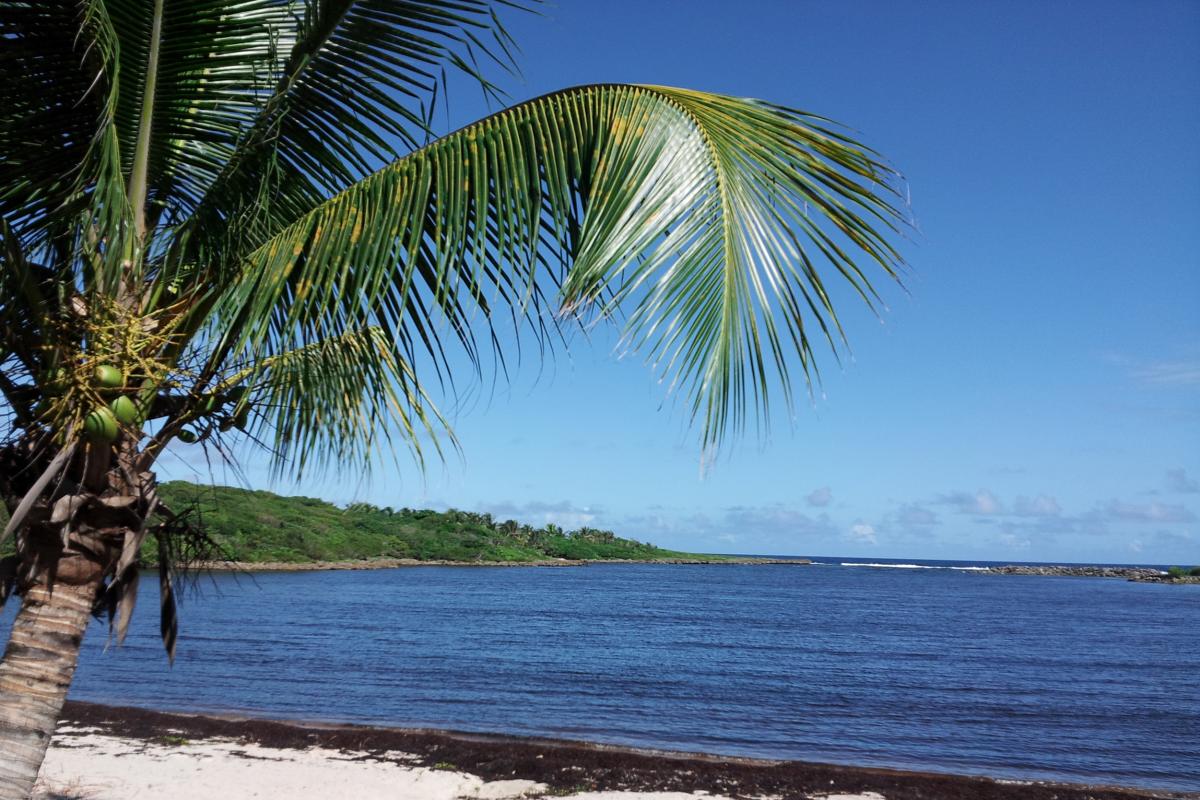 Basse-Terre-plage