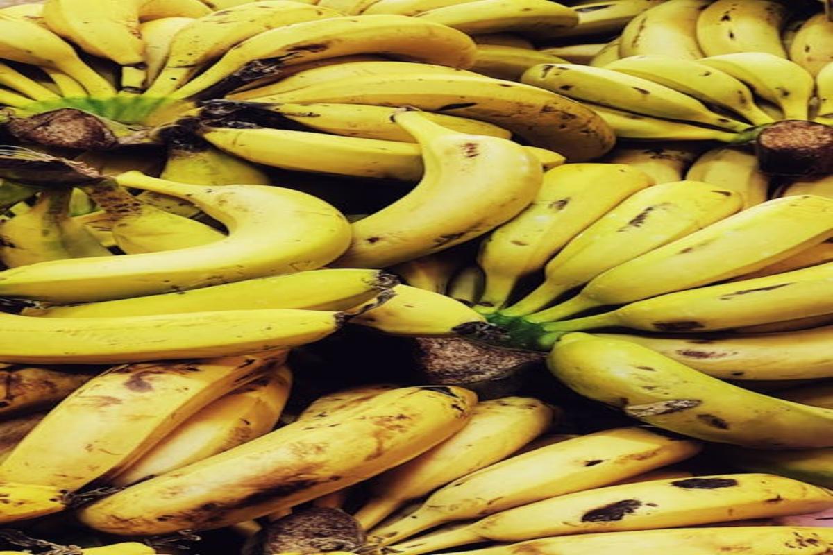 Bananes en Guadeloupe