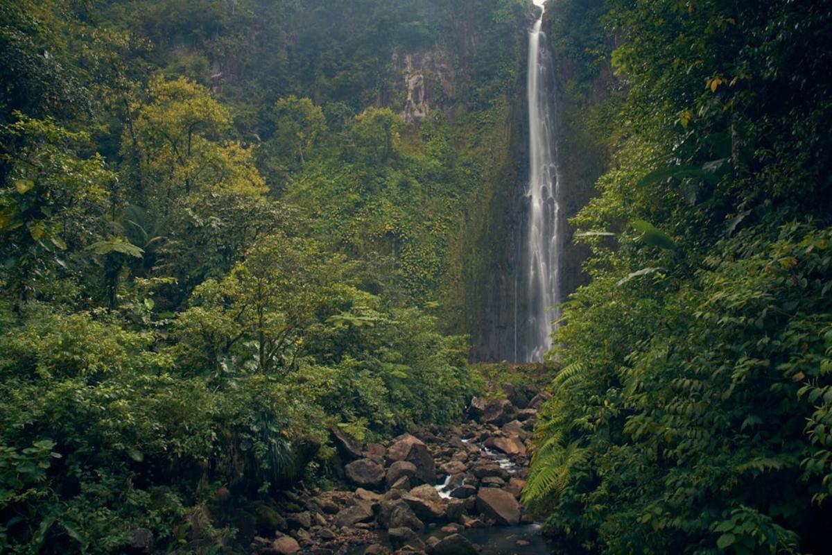 Baie Mahault en Guadeloupe