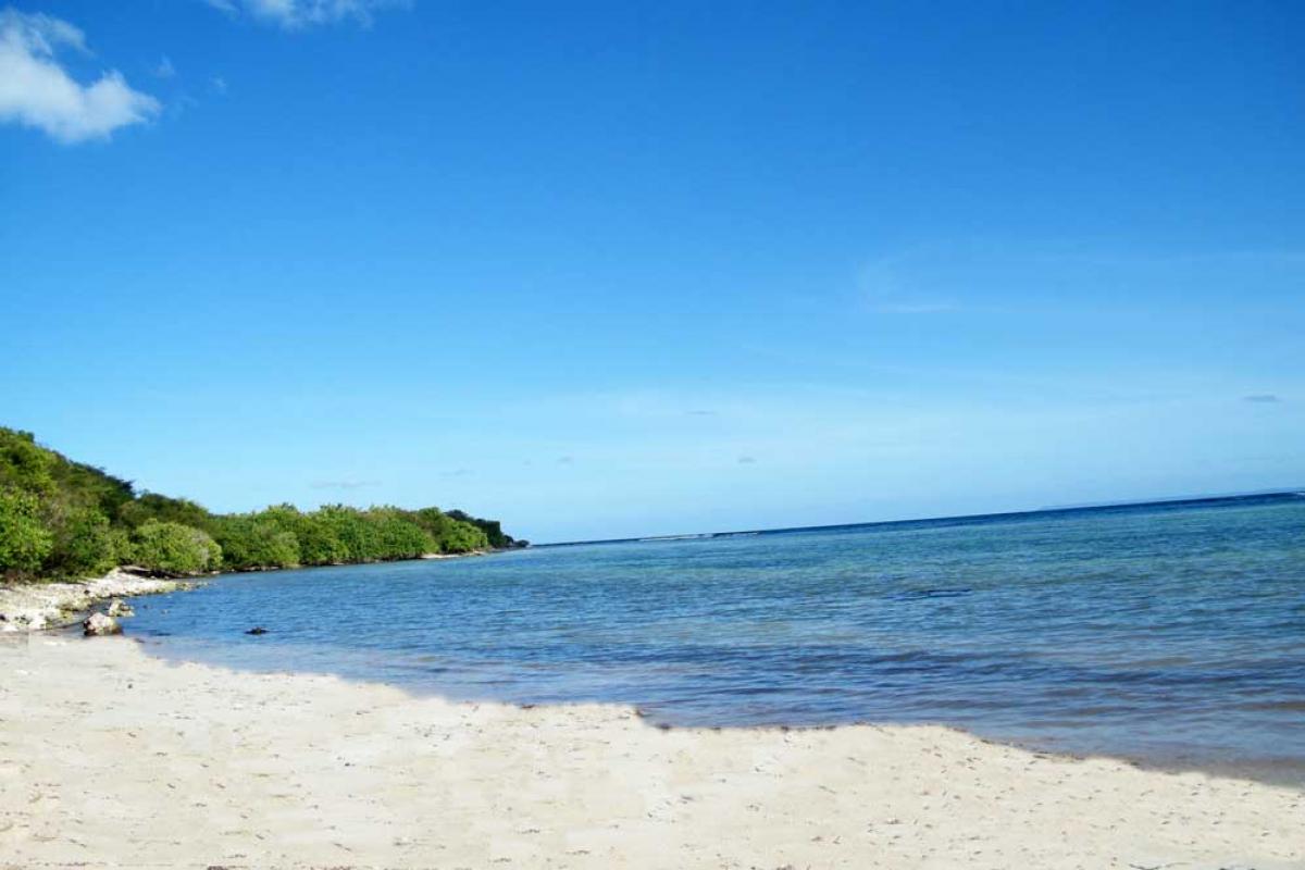 Anse à la Barque