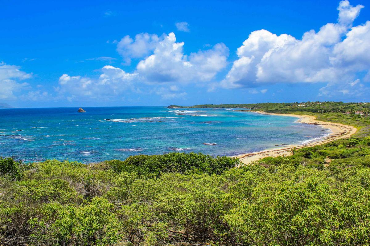 Anse à la Gourde - vue d'ensemble