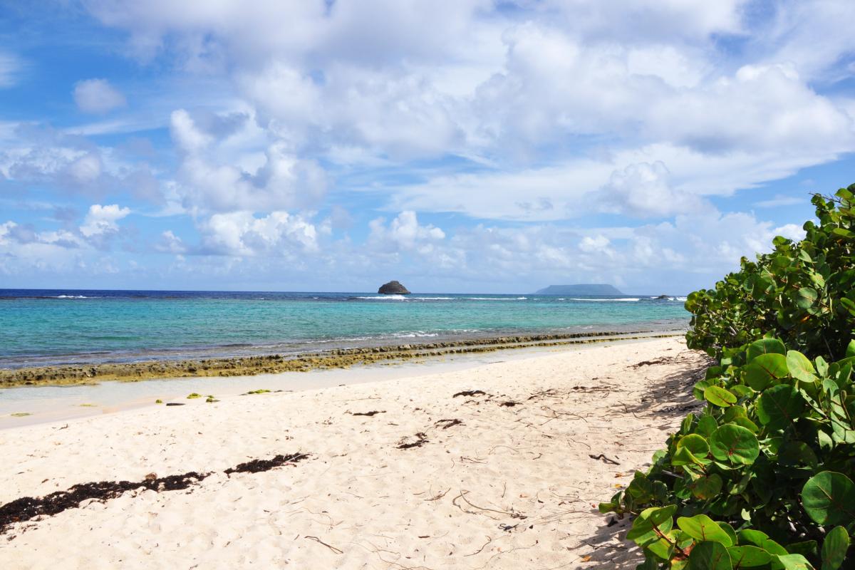 Anse à la Gourde vue sur la Désirade