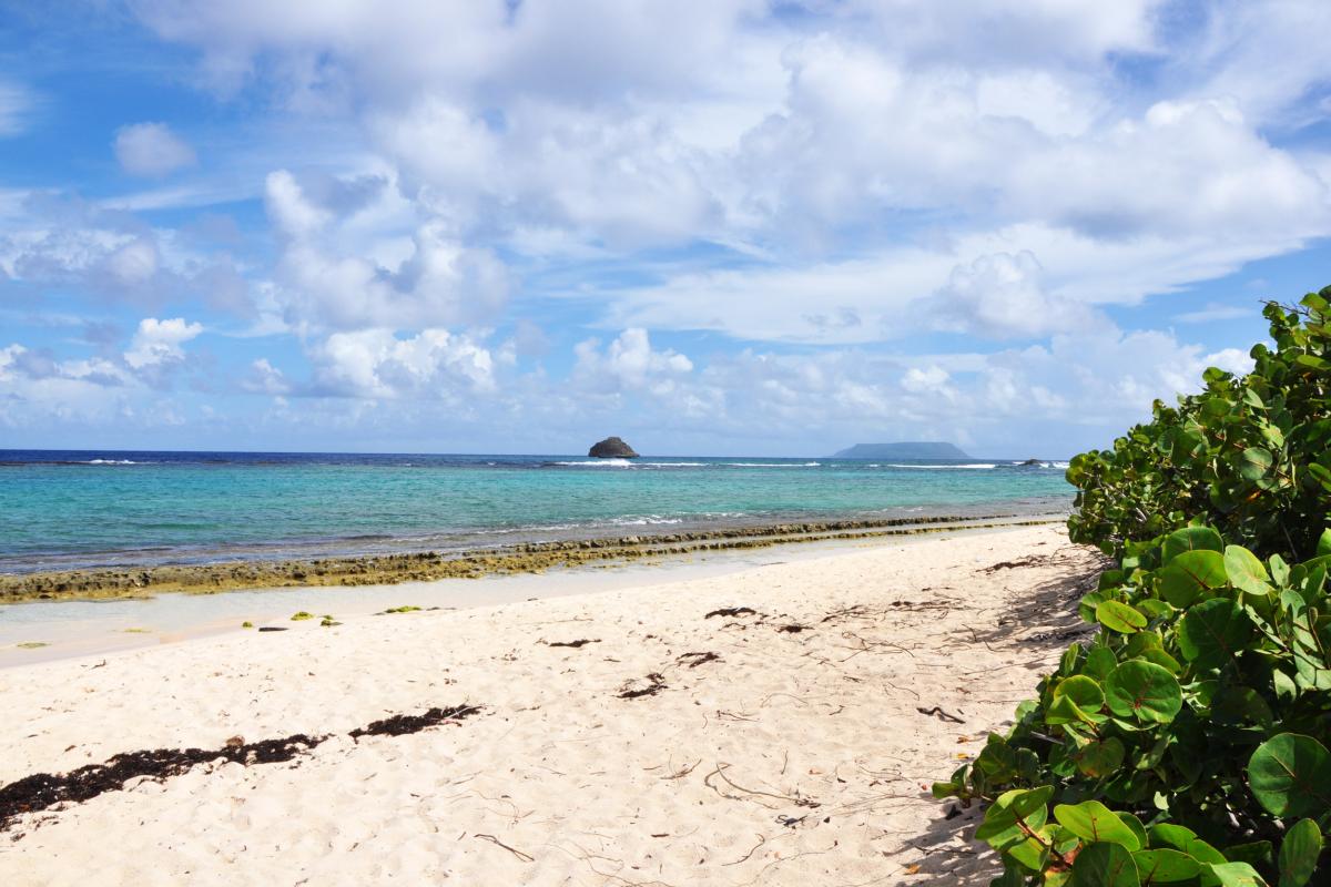 Anse à la Gourde vue sur la Désirade