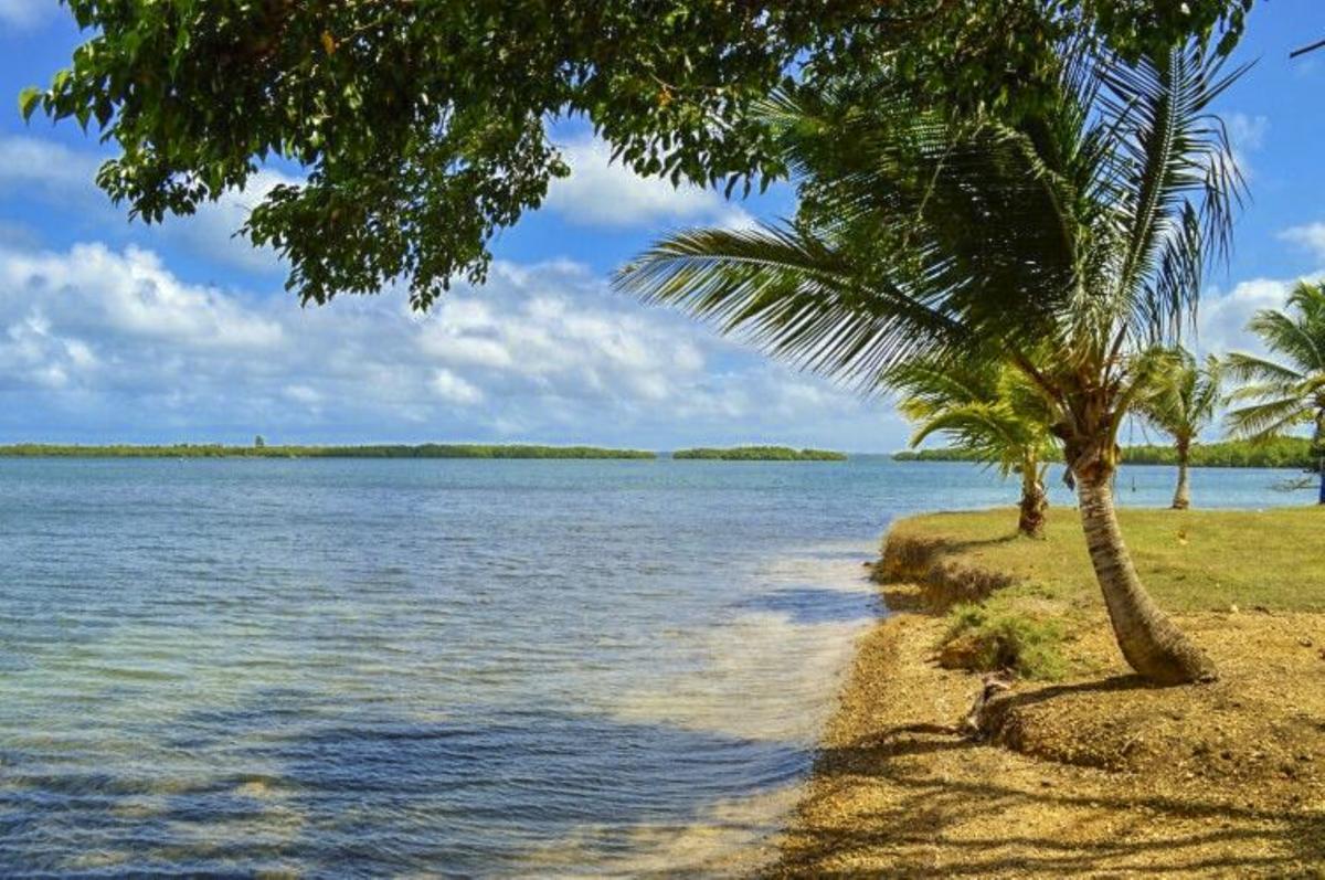 Plage de l'Anse Babin Morne à l'eau Guadeloupe