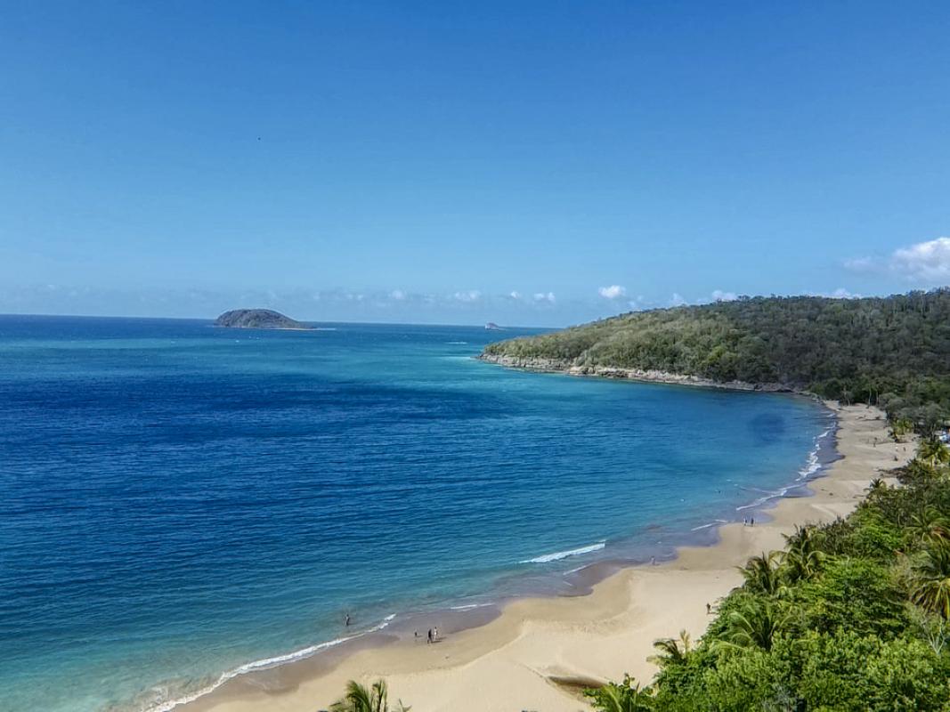 Anse de La Perle cocotier