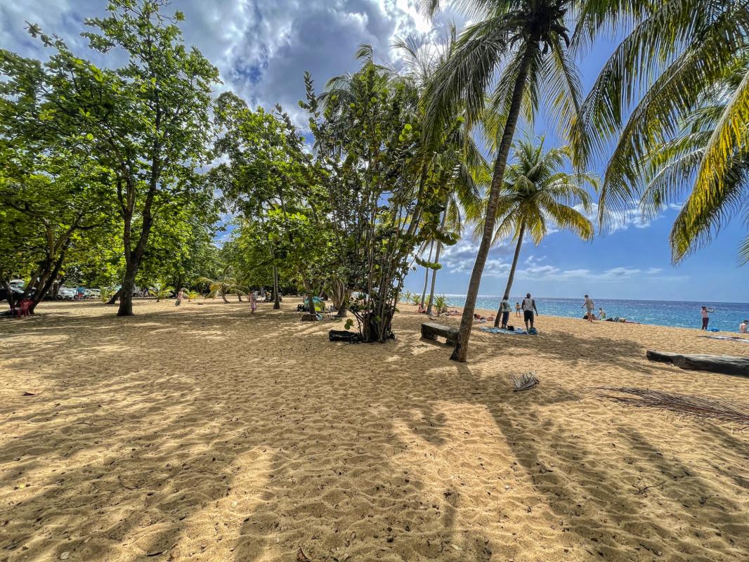 Plage de Grande Anse - sable doré