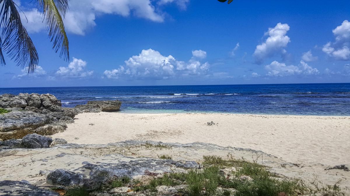 Plage Anse Laborde Anse Bertrand Guadeloupe