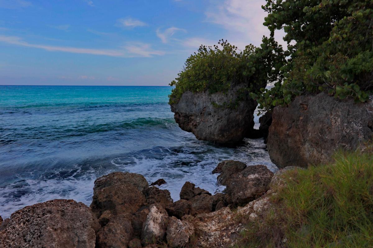 Anse Vinaigri Beach