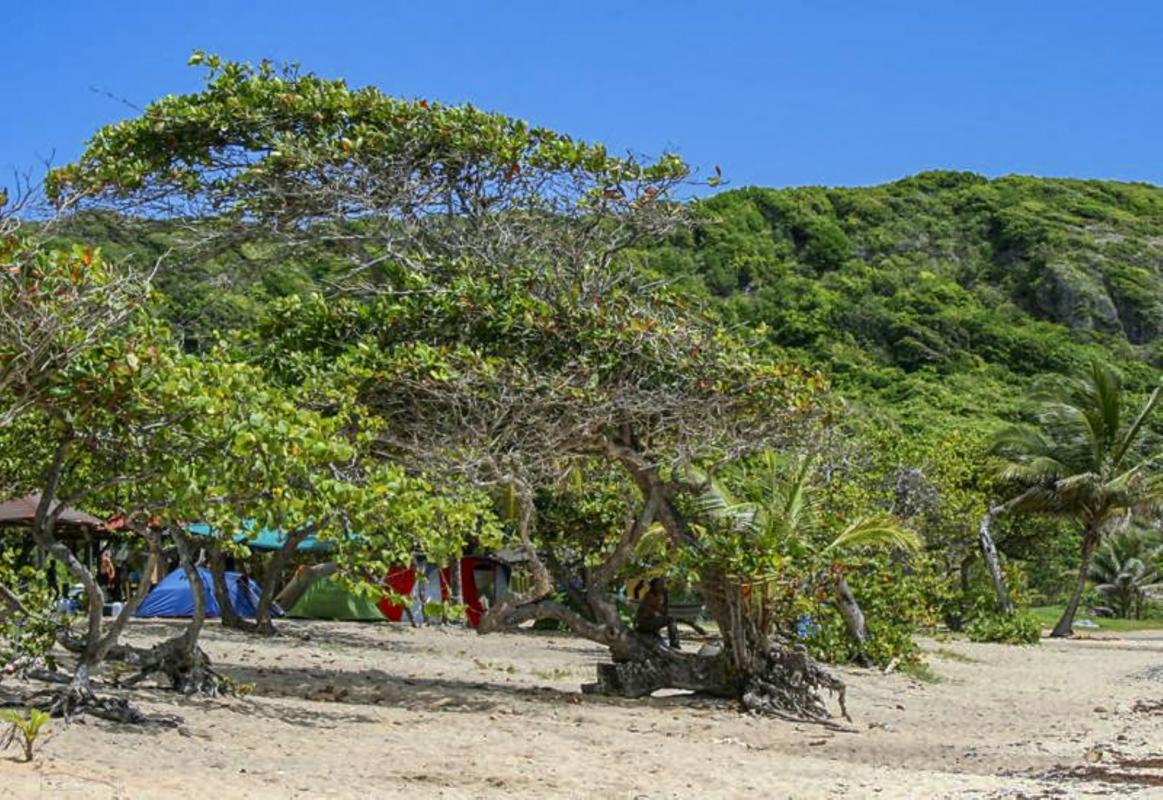 Plage de Anse Maurice Petit Canal Guadeloupe