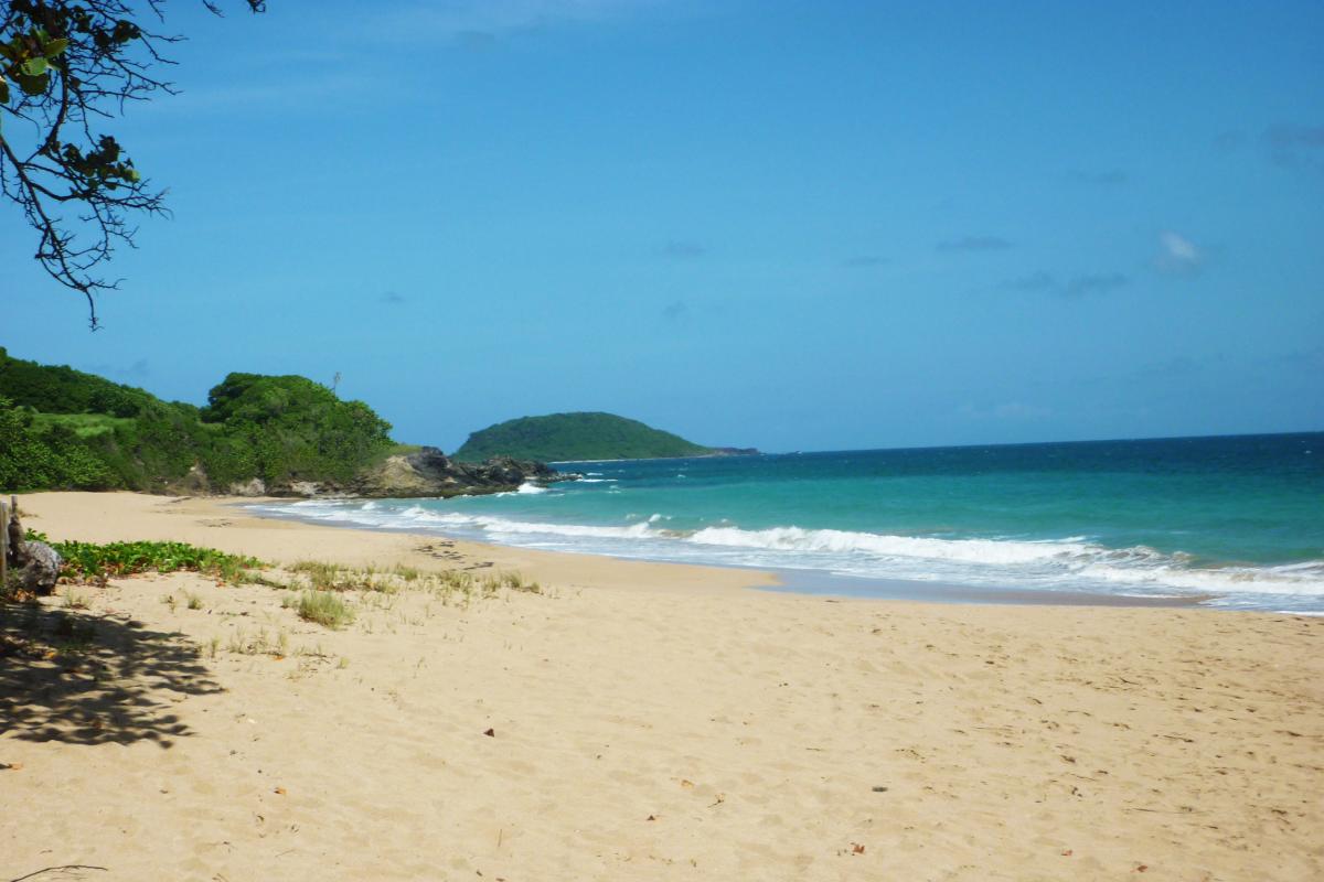 Cluny beach - overview