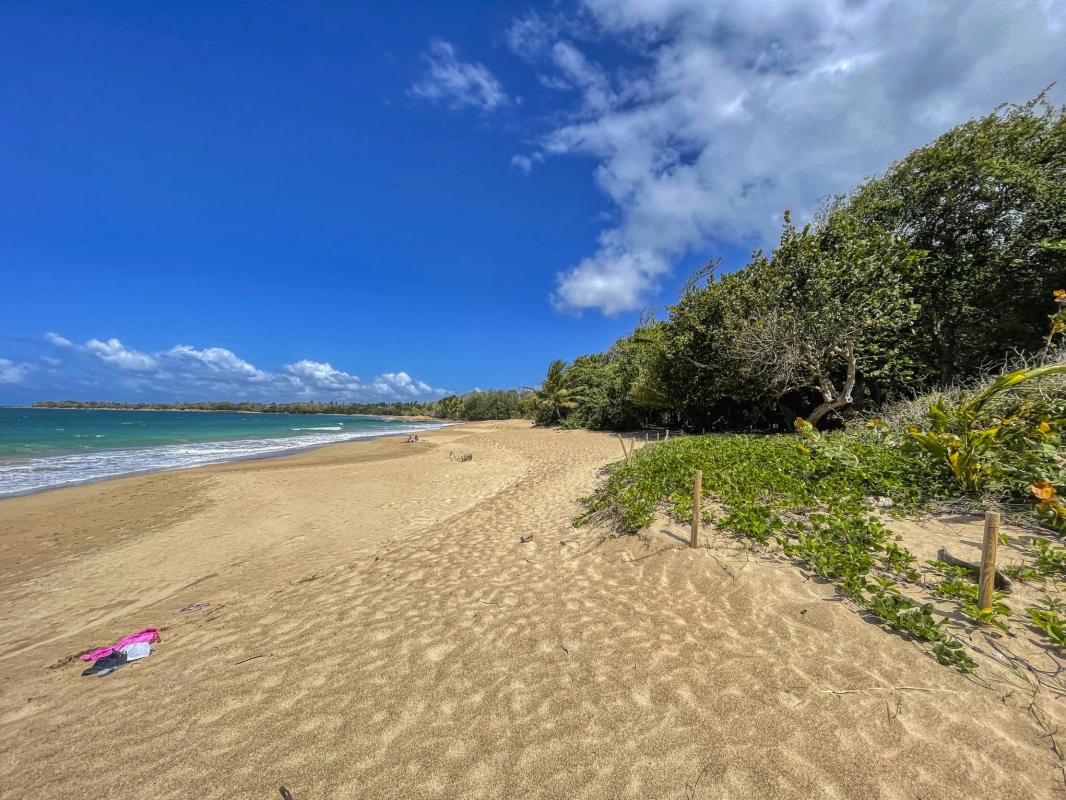 Plage de Cluny - vue d'ensemble