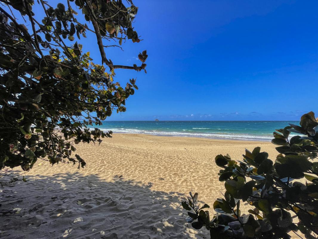 Plage de Cluny - vue sur les îlets