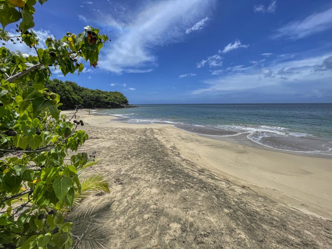 Plage de Ferry Leroux Deshaies Guadeloupe - magnifique plage de sable fin