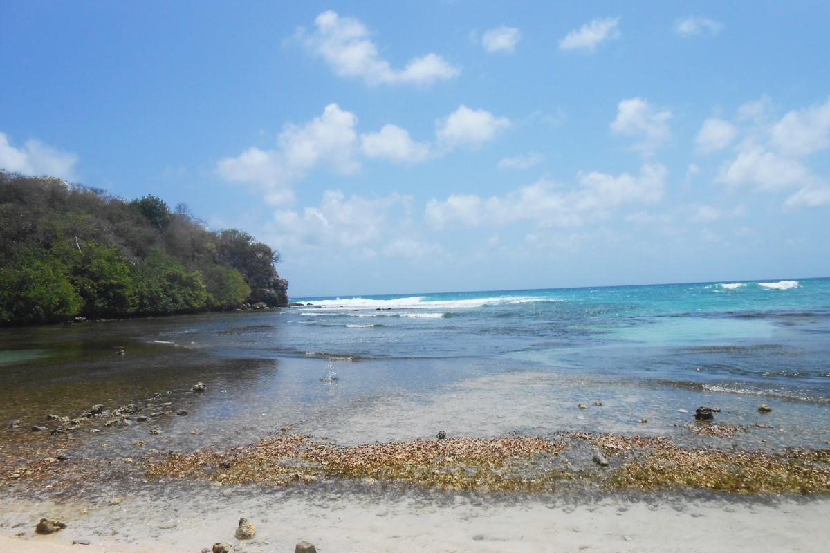 Anse à Jacques 