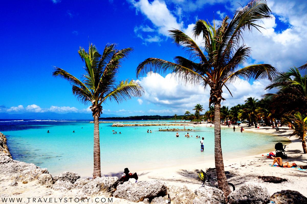 Plage de Sainte Anne cocotiers