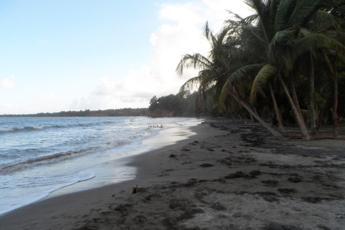 Sainte Claire beach