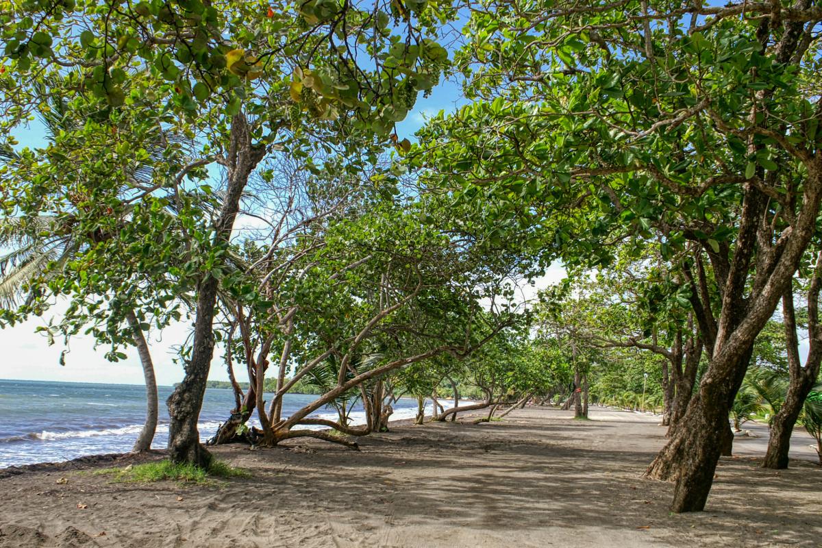 Plage de Viard Petit Bourg Guadeloupe