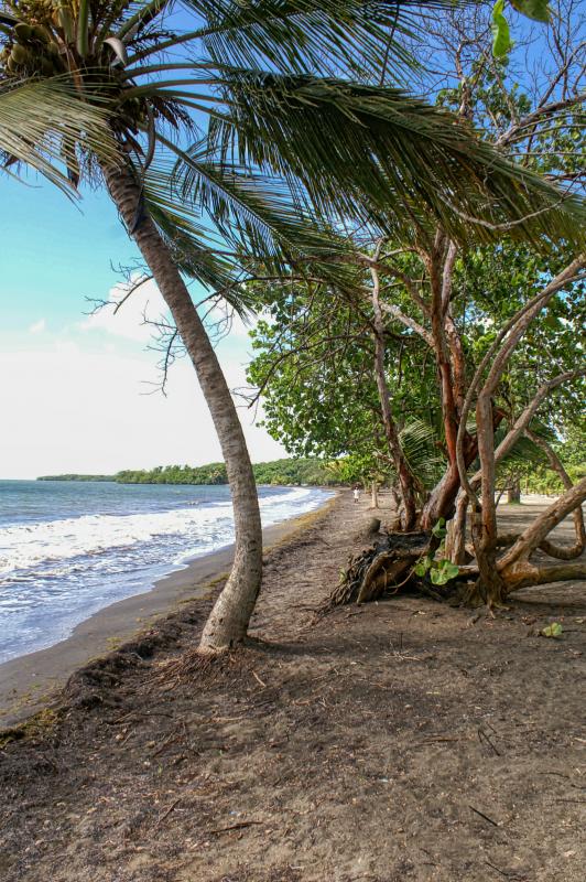 Plage de Viard Petit Bourg Guadeloupe