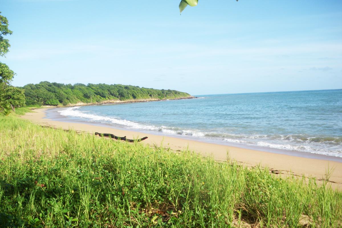 Plage des Amandiers beach Caribbean sea