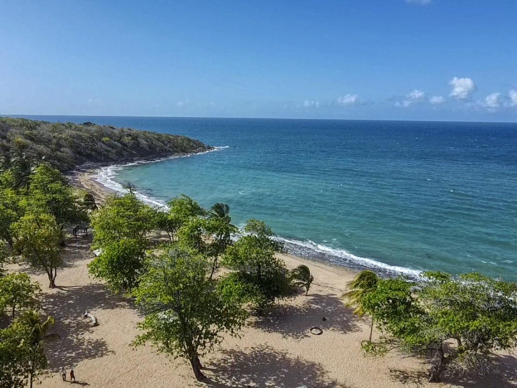 Plage des Amandiers