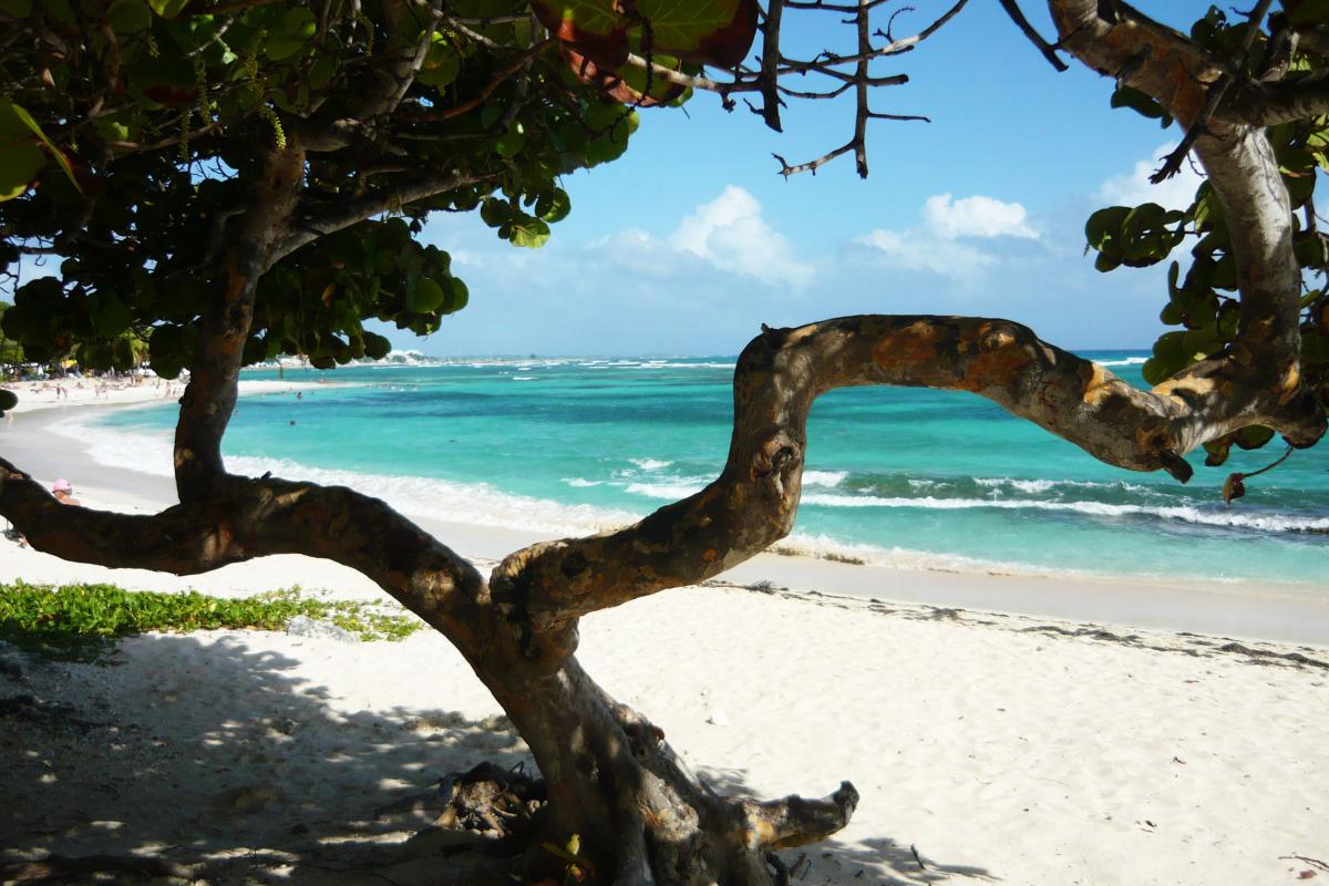 Raisins Clairs beach blue lagoon