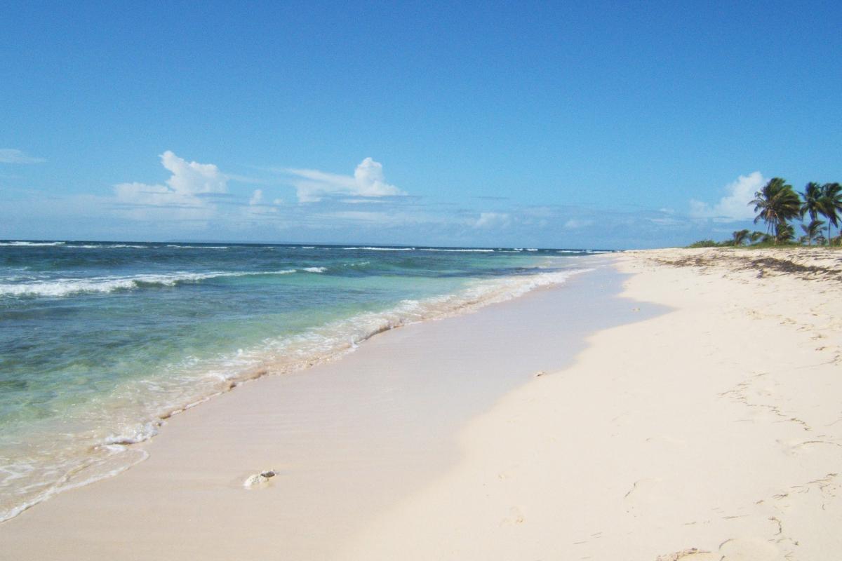 Plage des Raisins Clairs