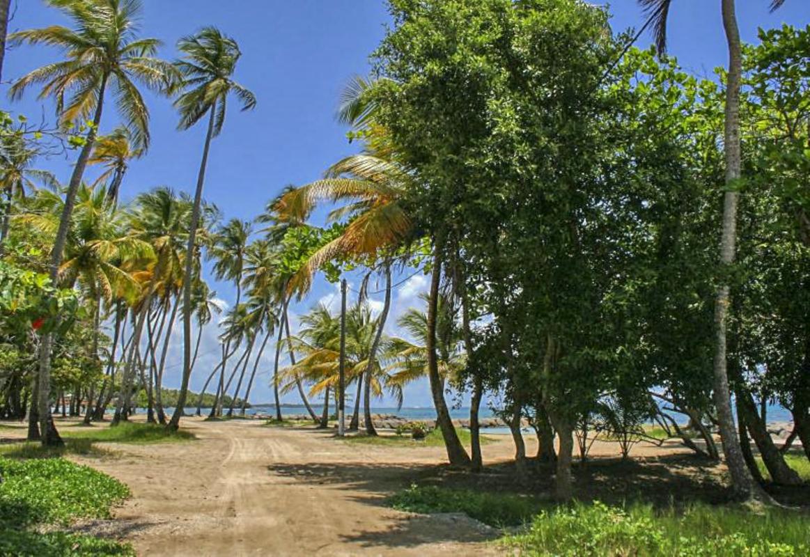 Plage de Roseau Pelican Capesterre Belle Eau Guadeloupe