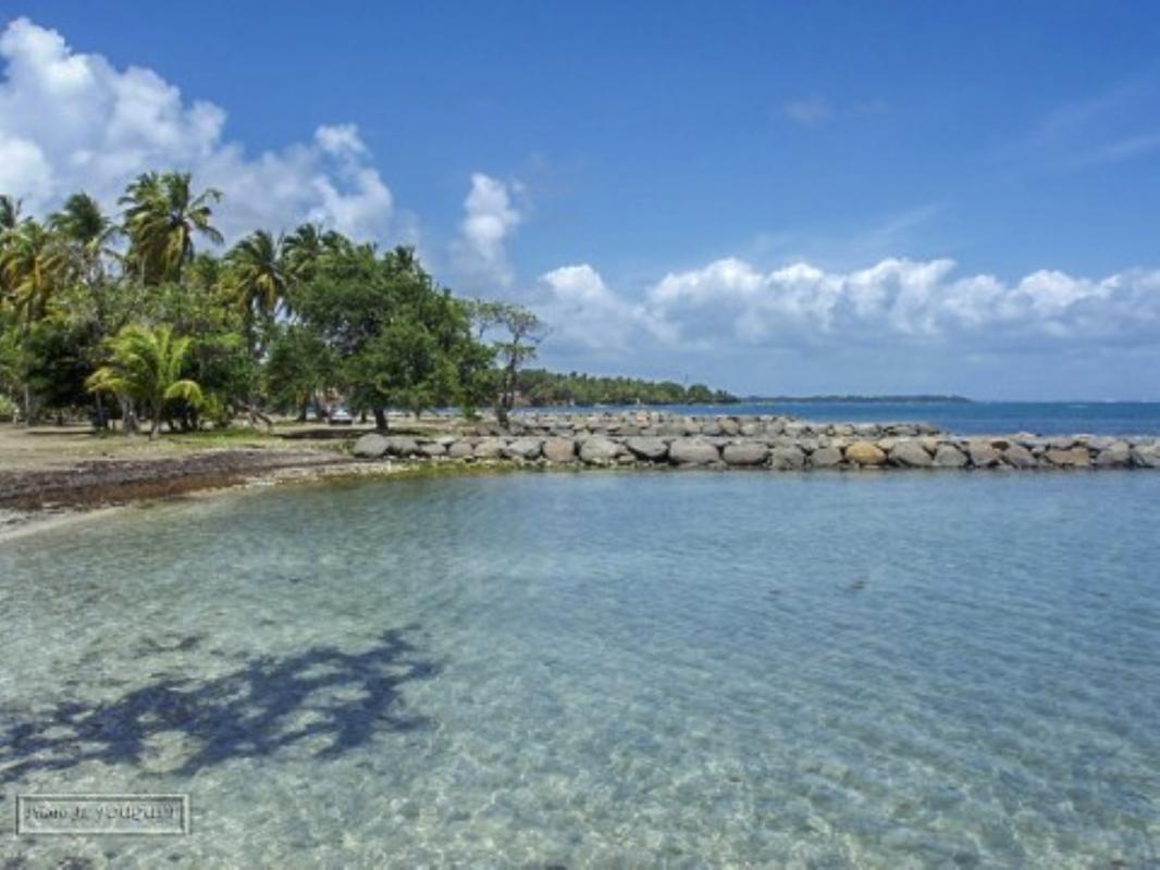 Plage de Roseau Pelican Capesterre Belle Eau Guadeloupe