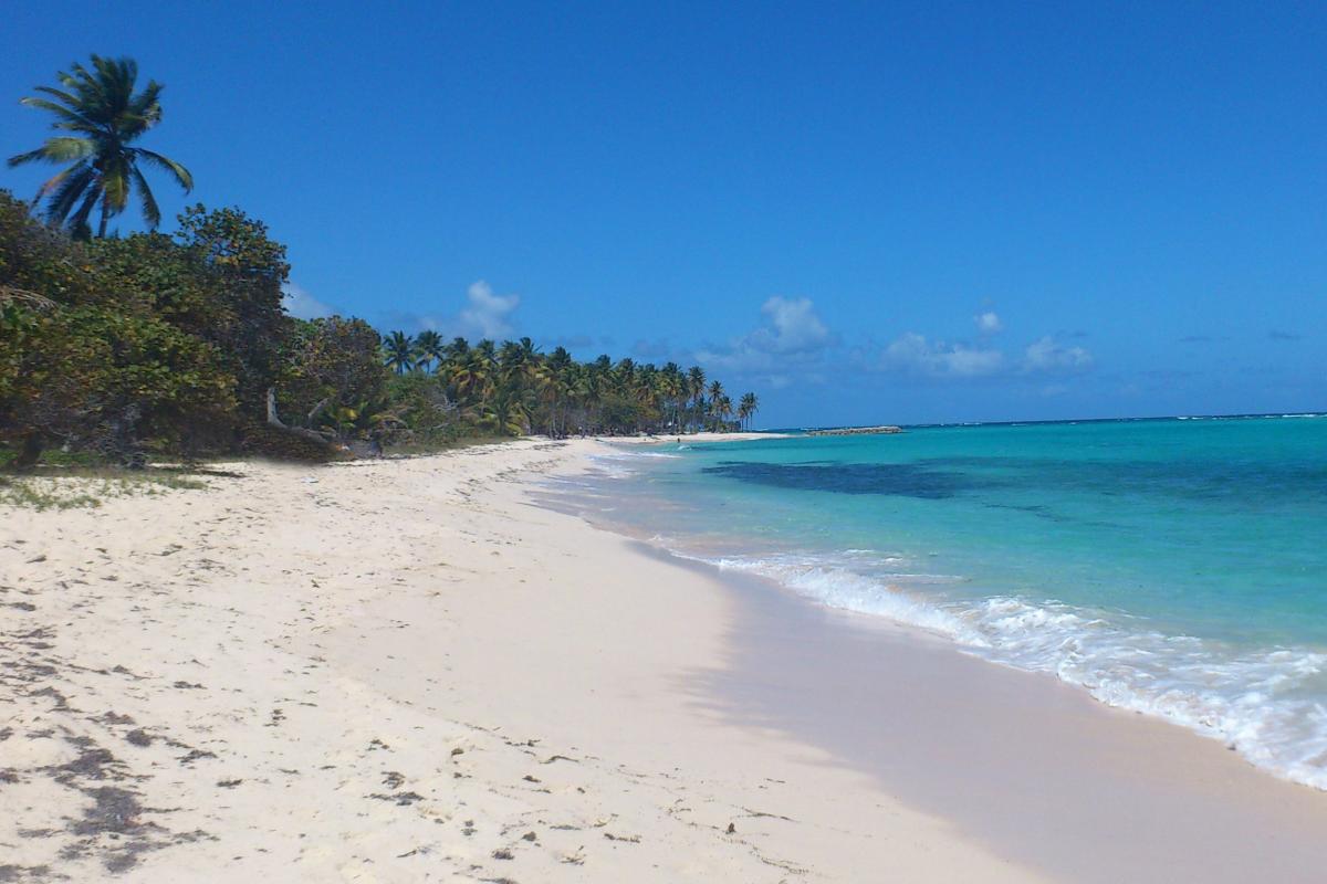 Anse Canot eau turquoise (Saint Louis de Marie Galante)