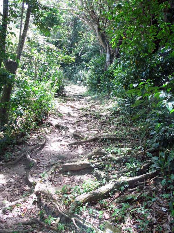 Chemin de randonnée