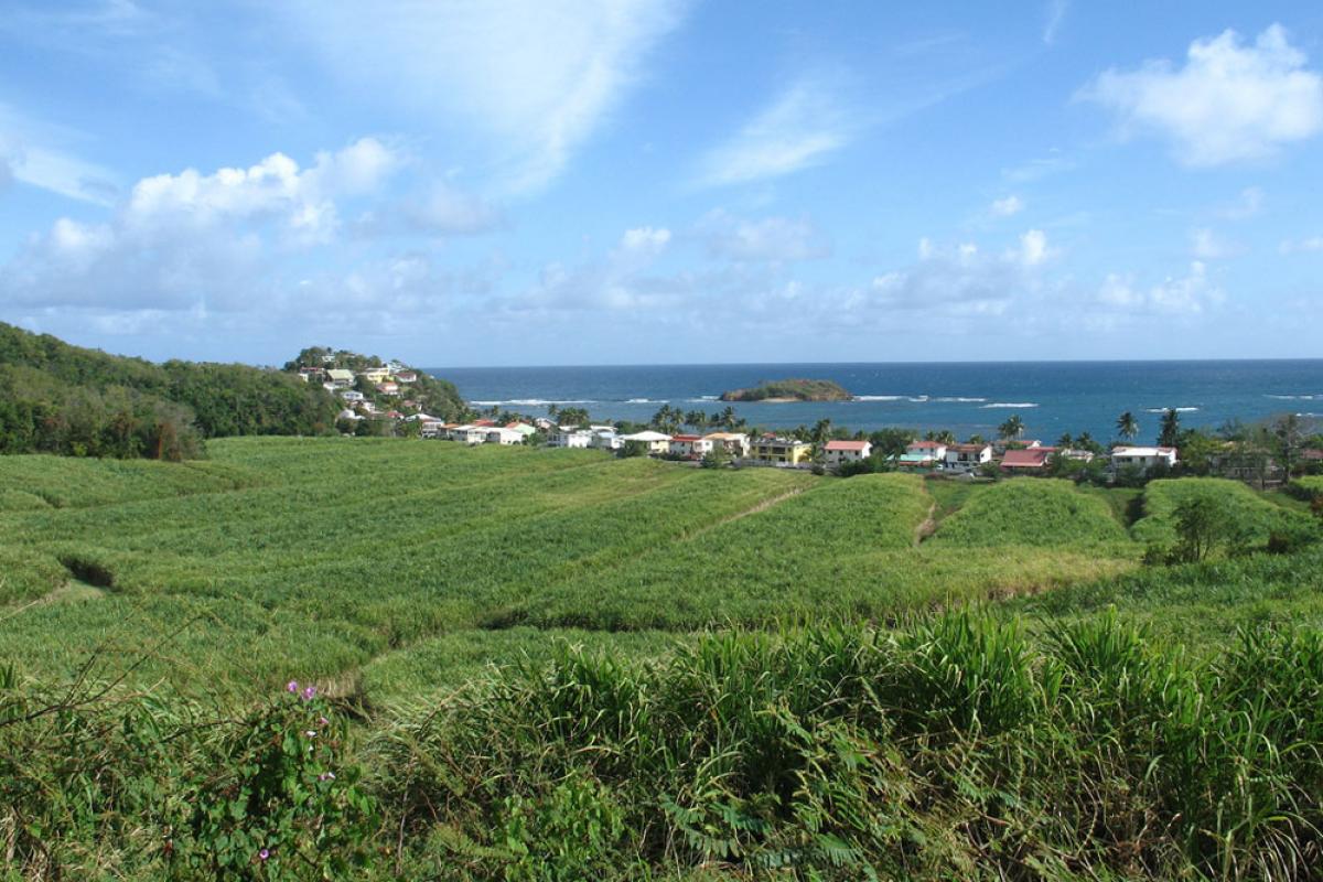 Dans les environs du François