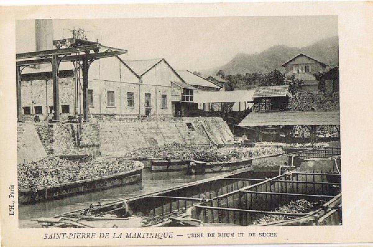 Distillerie de Saint Pierre au XVIIIIé