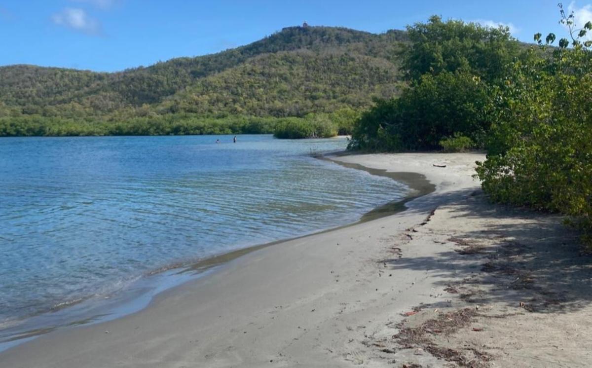 La plage de la Caravelle et le sable en Martinique