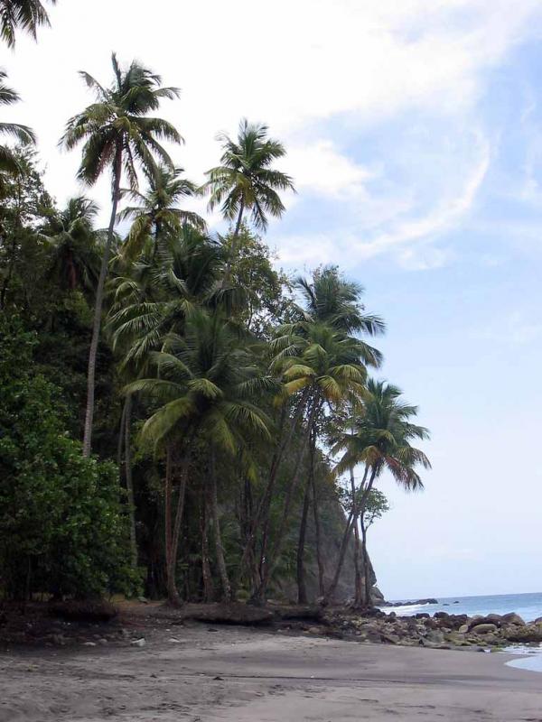 Anse couleuvre