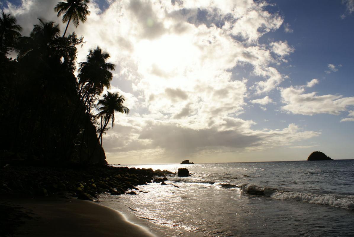 Matin à l'Anse Couleuvre