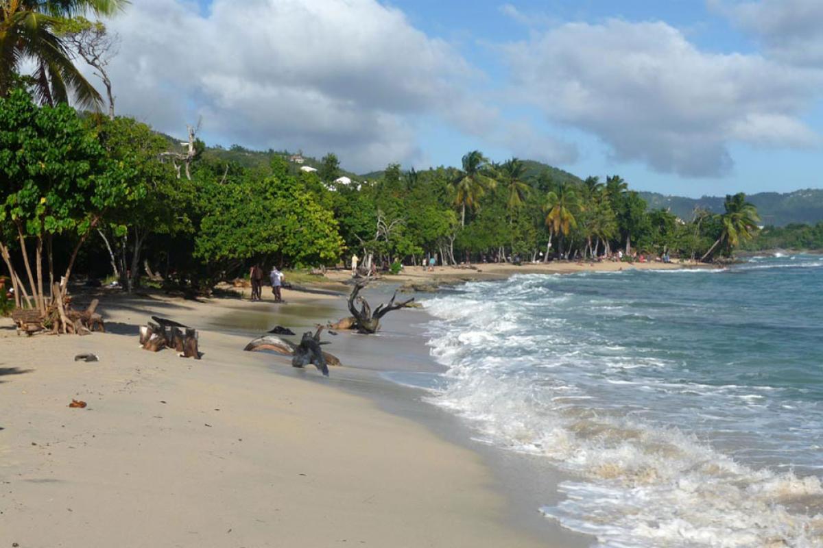 Anse Desert