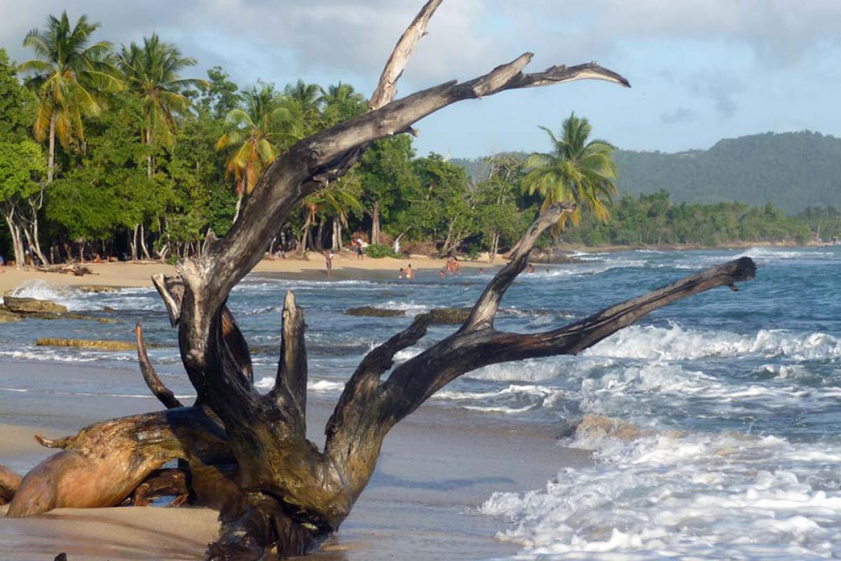 Anse Desert