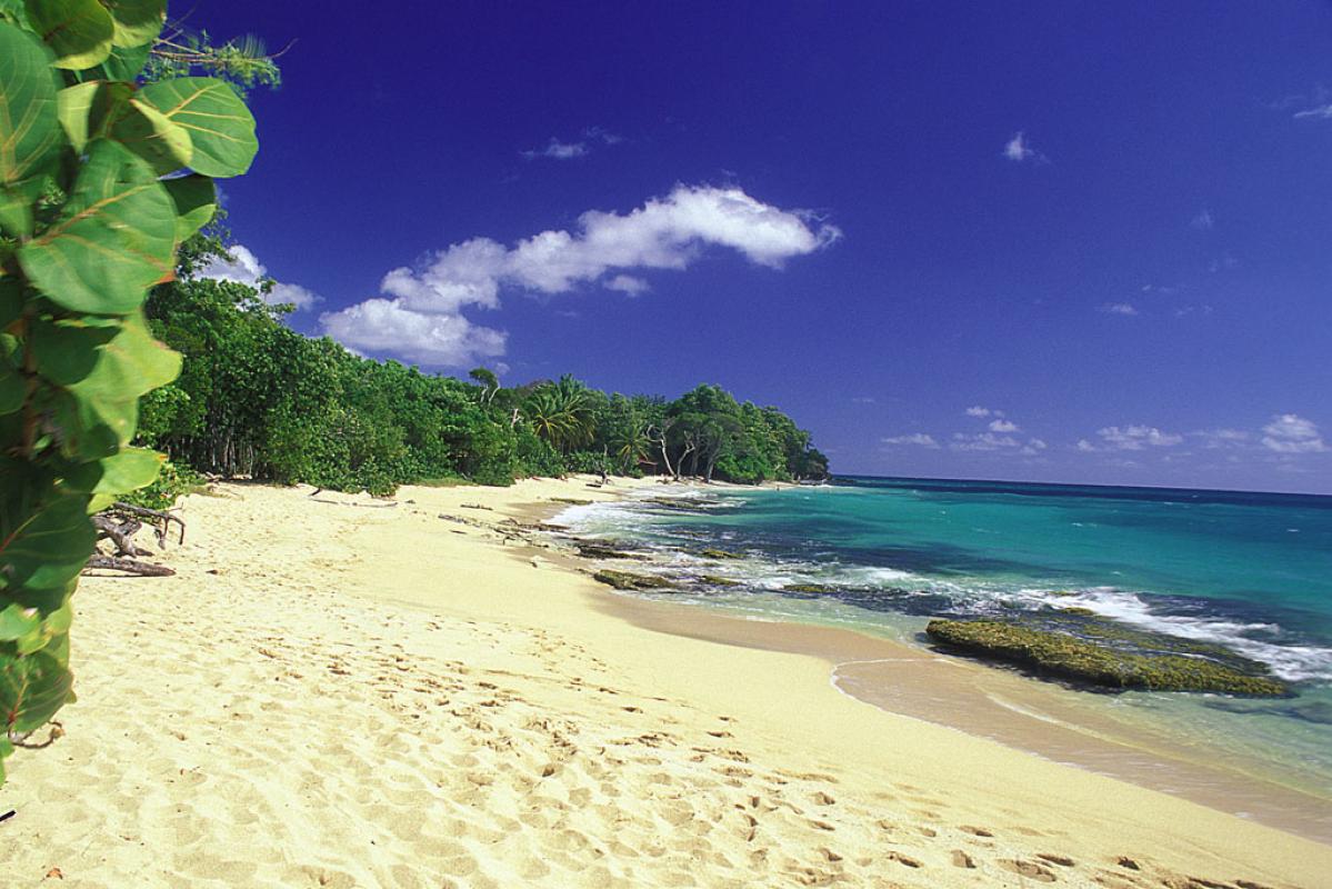 Anse Desert