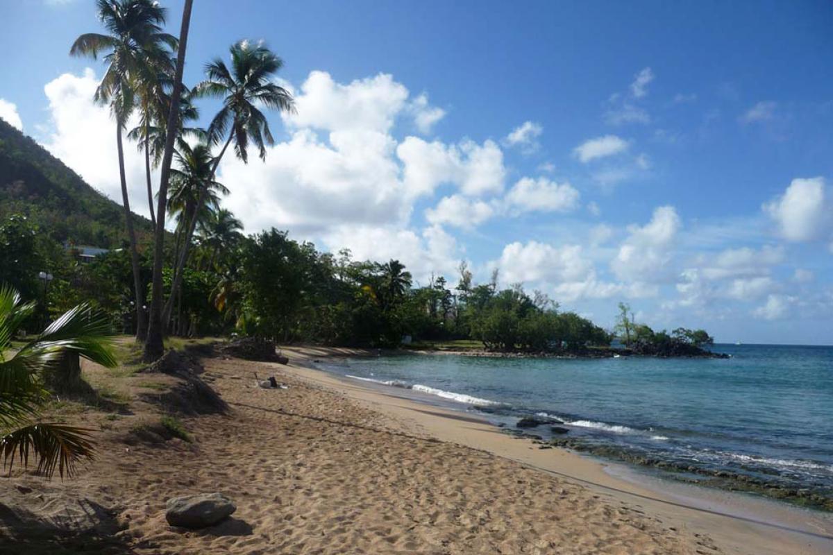 Anse Figuier vue du ciel