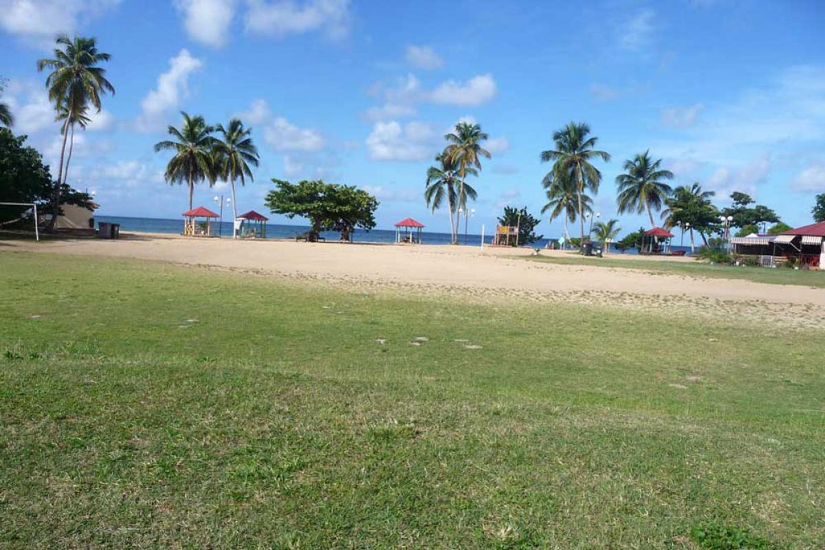 Anse Figuier beach - Clean lawn